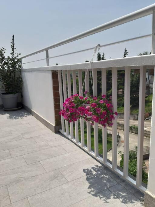 Casa Tra I Castelli Apartment San Martino Alfieri ภายนอก รูปภาพ